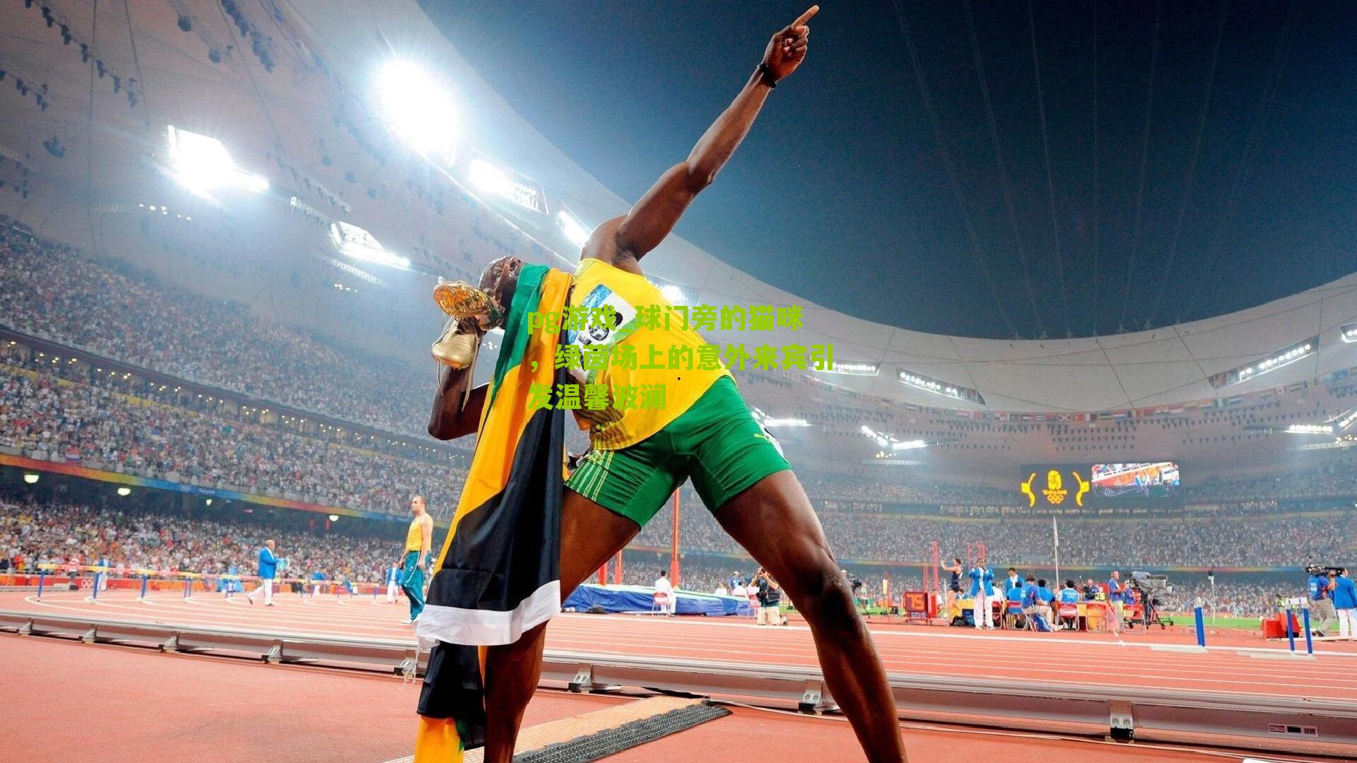 球门旁的猫咪，绿茵场上的意外来宾引发温馨波澜