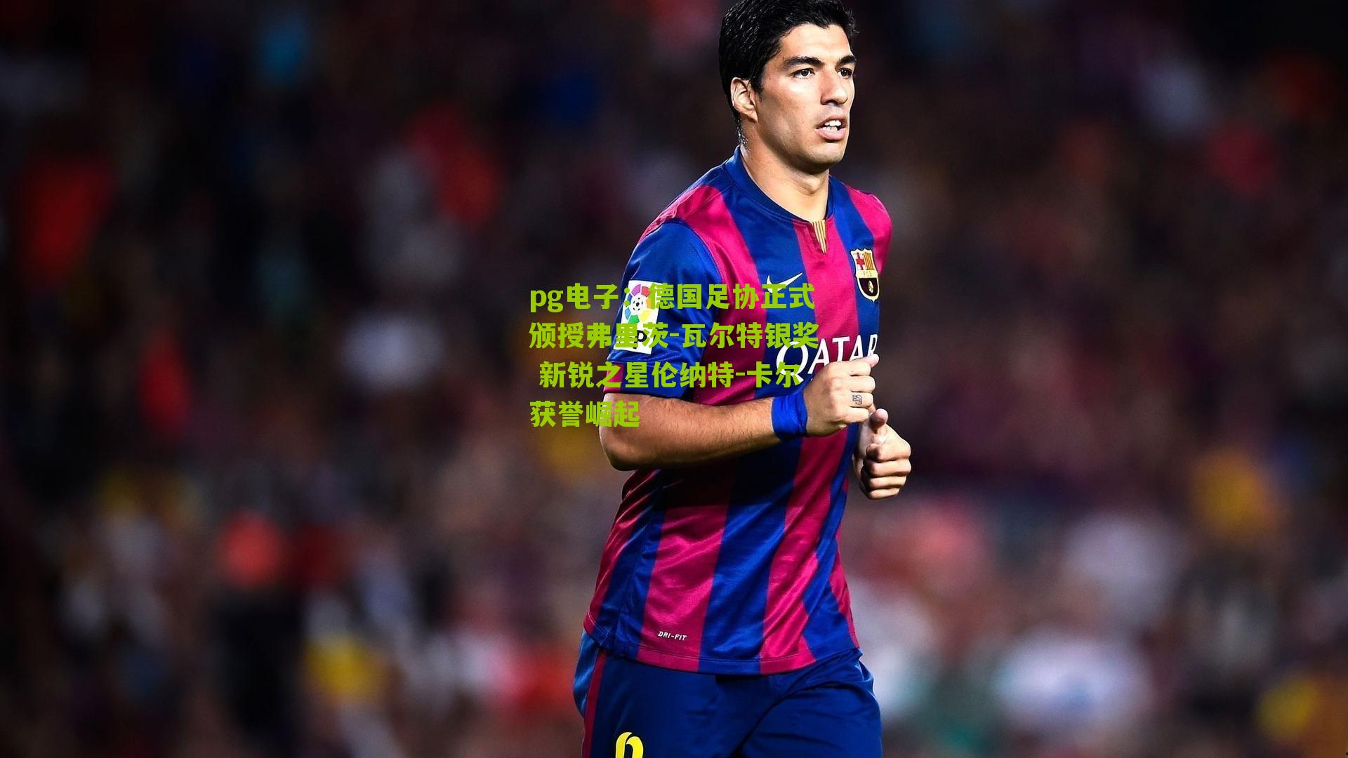 德国足协正式颁授弗里茨-瓦尔特银奖 新锐之星伦纳特-卡尔获誉崛起